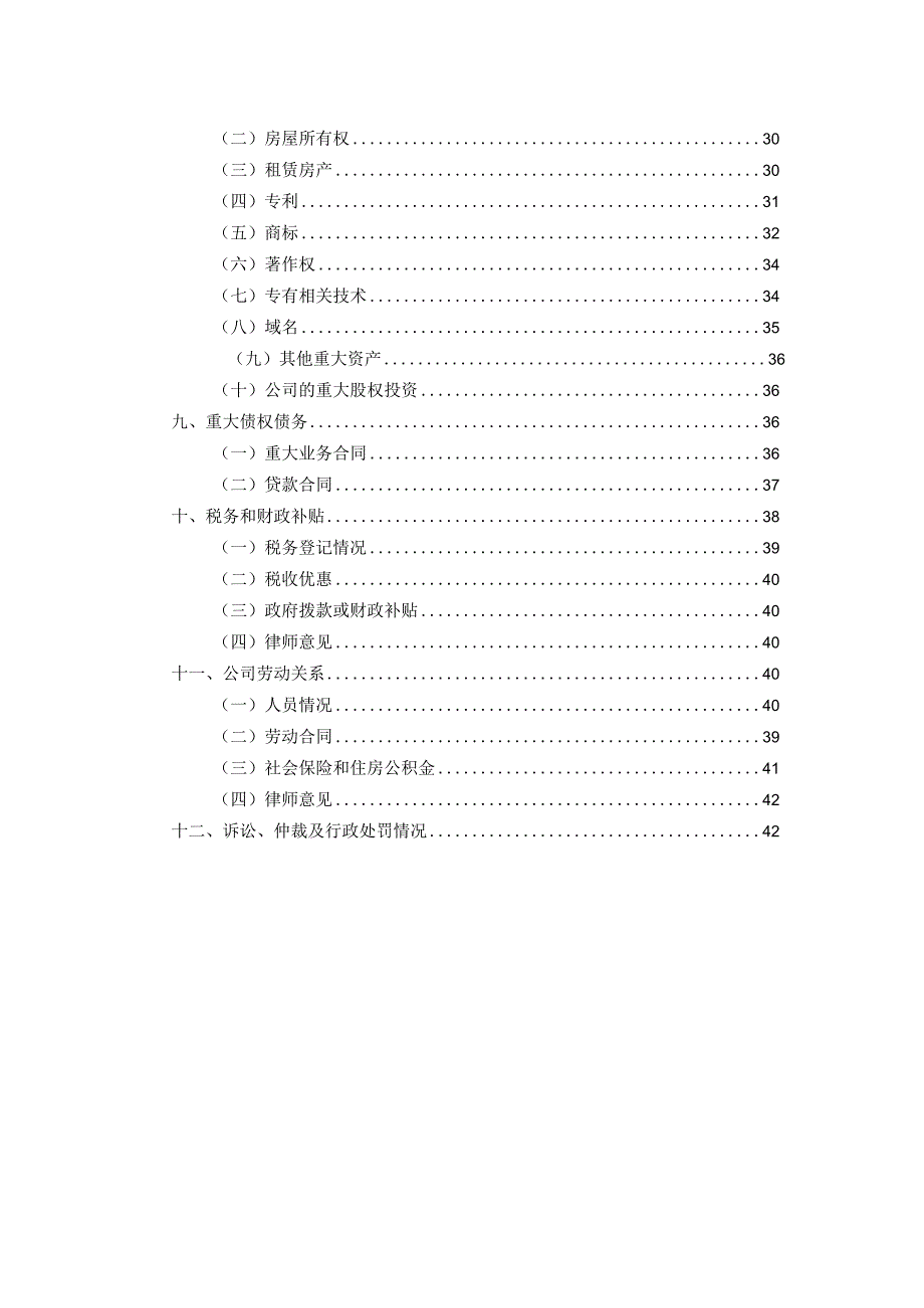 2023年整理法律尽调报告处理过——Sample.docx_第2页