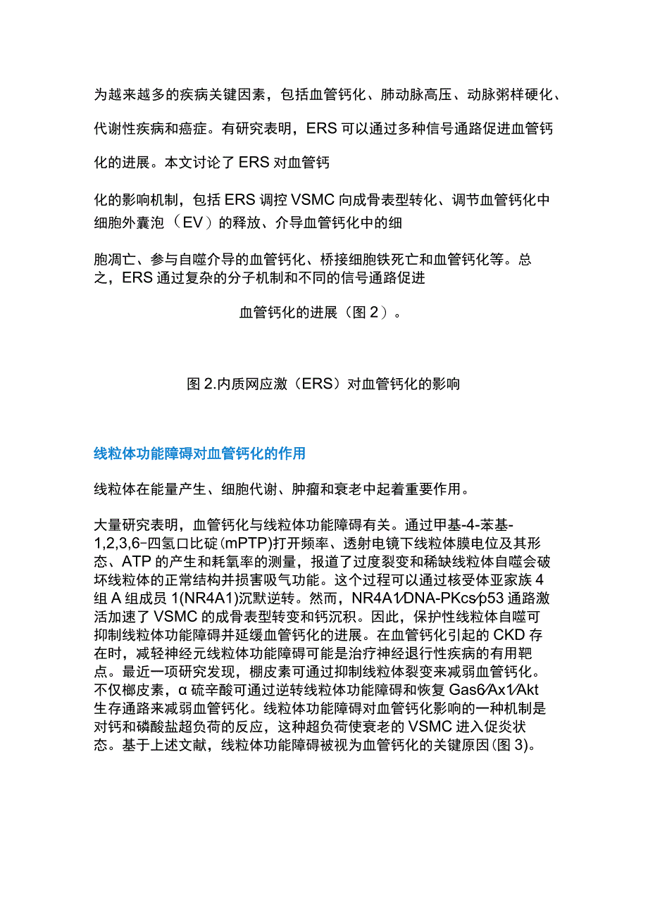 2023血管钙化的分子机制和治疗干预全文.docx_第3页