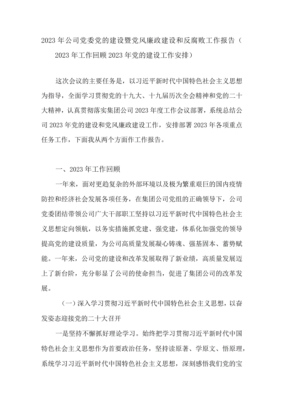 2023年度公司党委党支部党建暨党风廉政建设和反腐败工作总结报告共2篇.docx_第2页