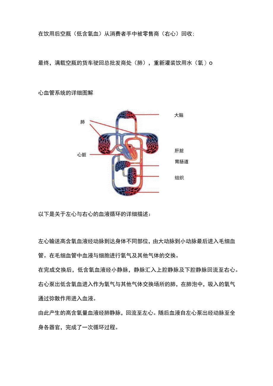 2023重症监测技术：氧供氧耗和氧的供需平衡.docx_第3页