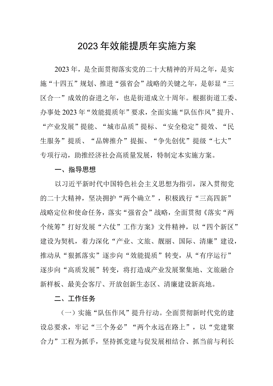 2023年效能提质年实施方案.docx_第1页