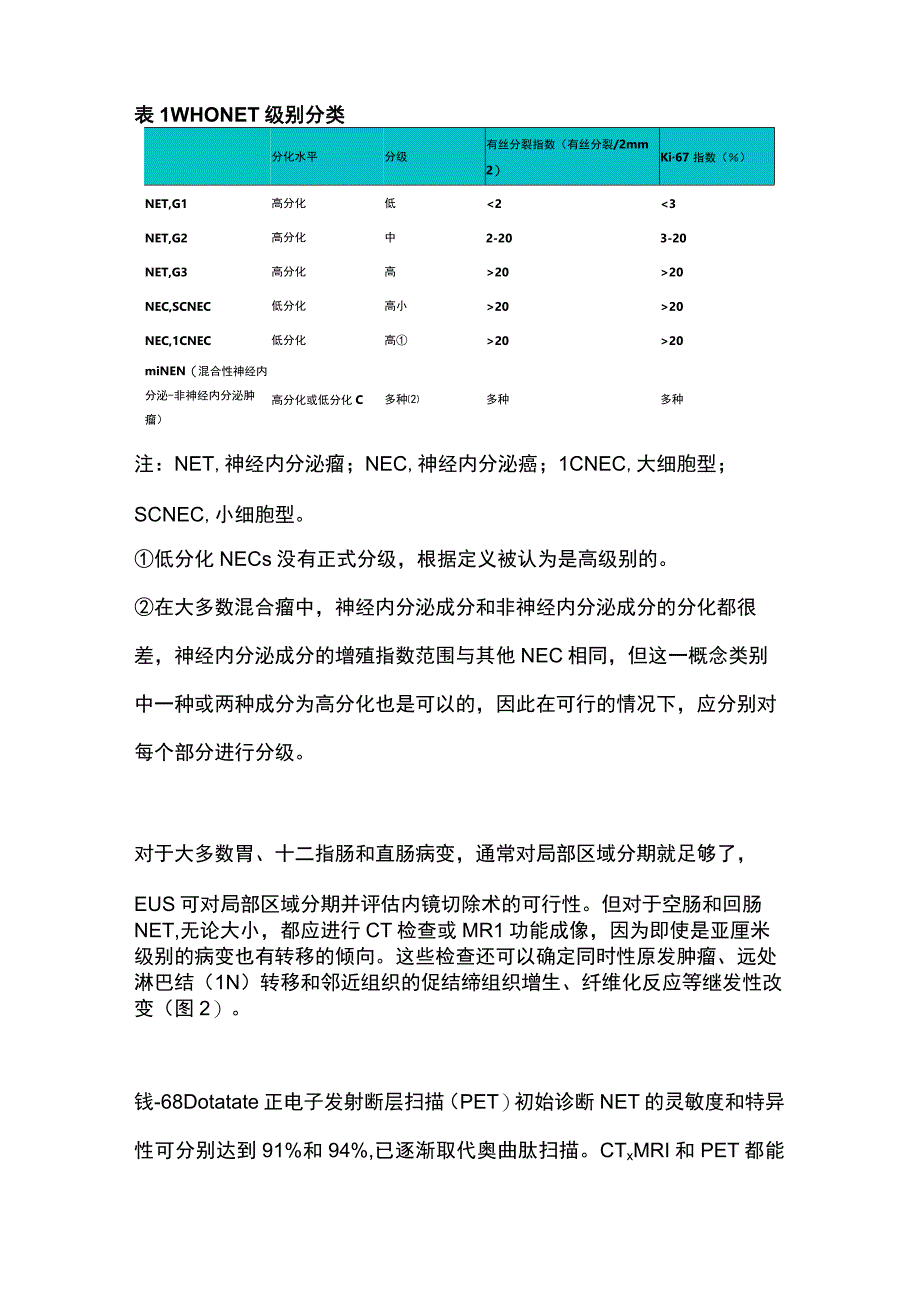 2023胃肠道神经内分泌瘤.docx_第3页