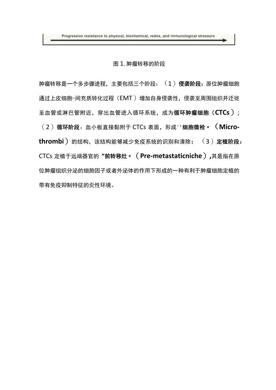 2023肿瘤转移的主要机制及治疗全文.docx_第2页