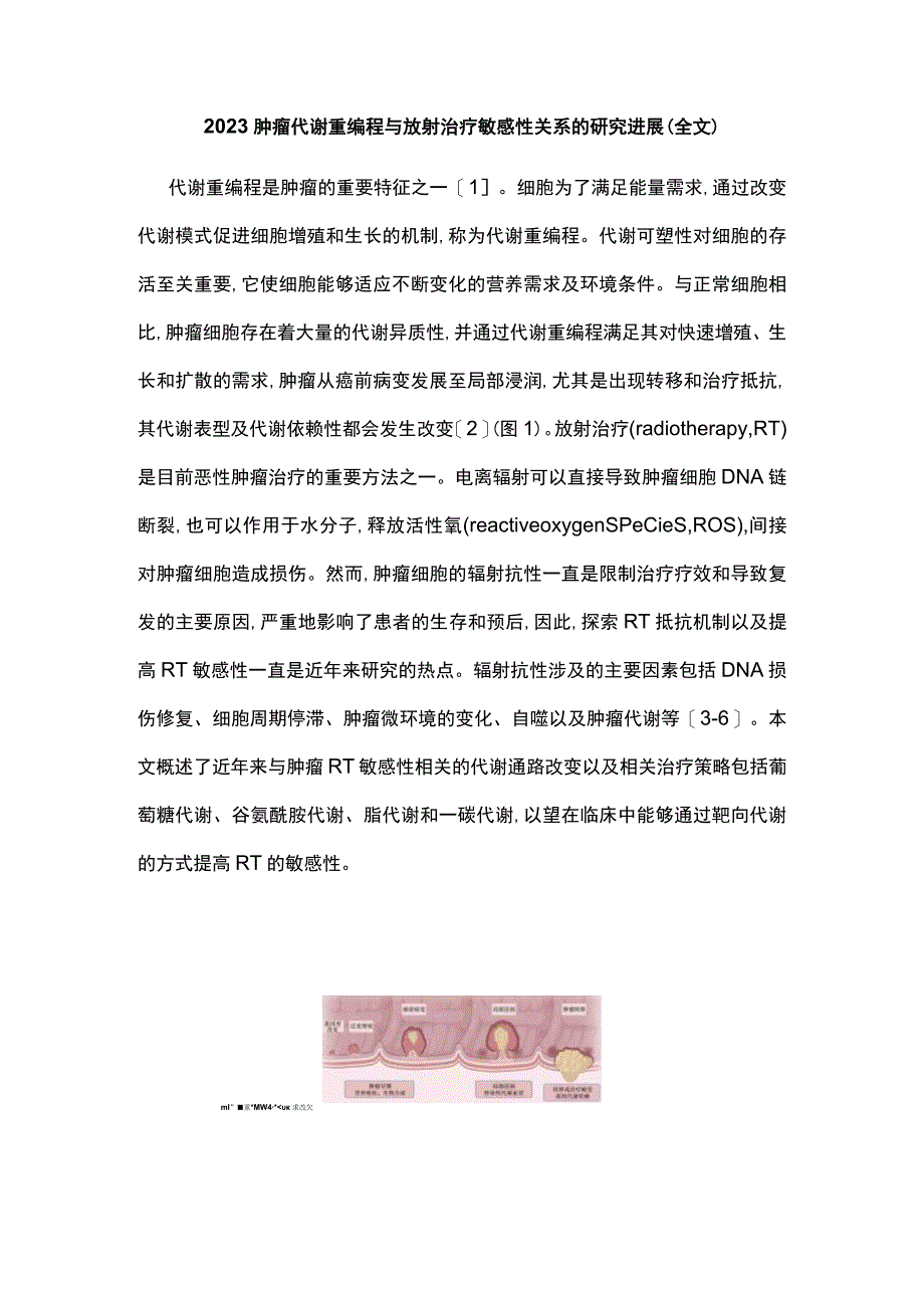 2023肿瘤代谢重编程与放射治疗敏感性关系的研究进展全文.docx_第1页