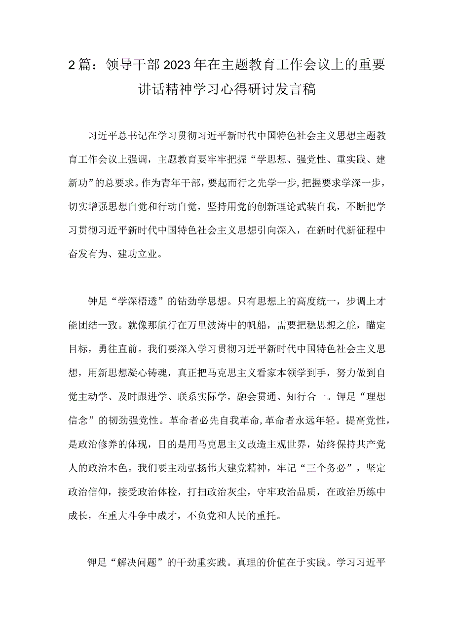 2篇：领导干部2023年在主题教育工作会议上的重要讲话精神学习心得研讨发言稿.docx_第1页