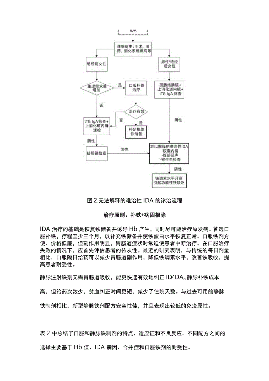 2023获得性缺铁性贫血的病因和诊治路径完整版.docx_第3页