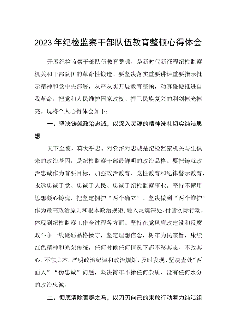 2023年纪检监察干部队伍教育整顿心得体会范文共三篇.docx_第1页