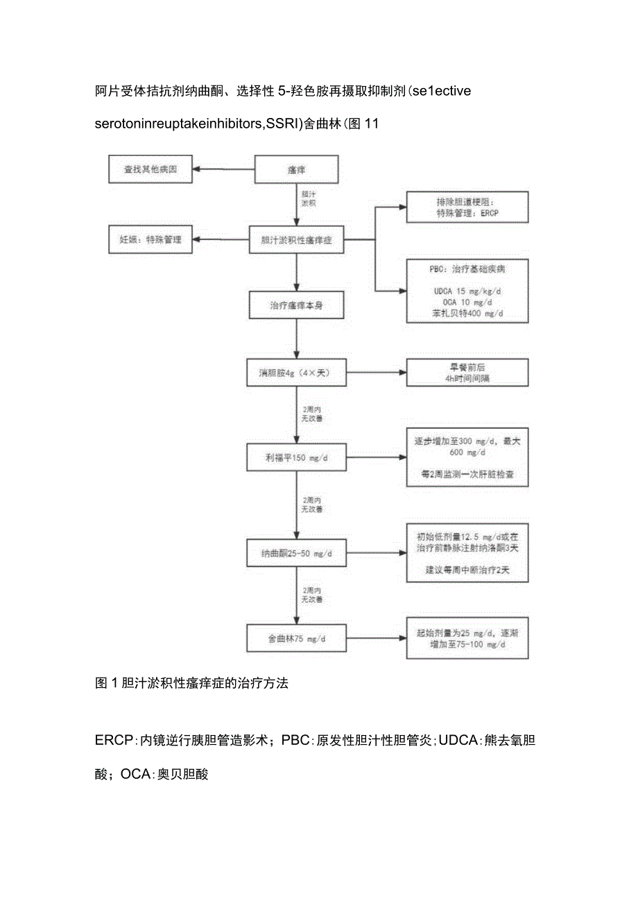 2023胆汁淤积性瘙痒症的评估到治疗全文.docx_第3页