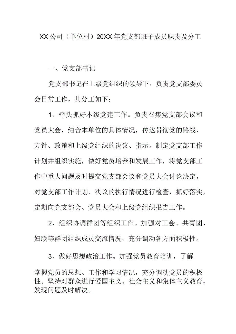 XX公司单位村20XX年党支部班子成员职责及分工.docx_第1页