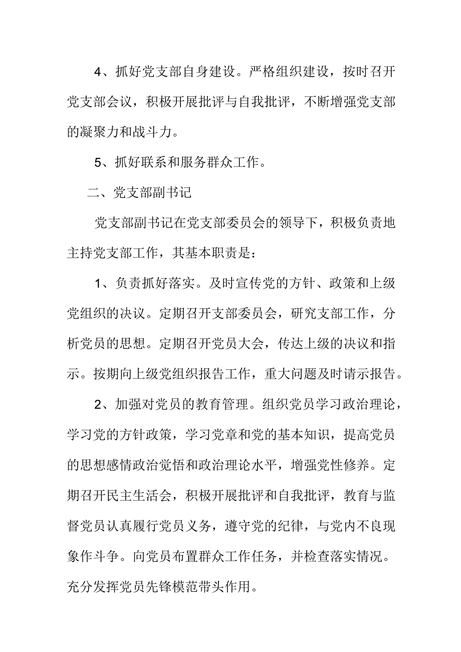 XX公司单位村20XX年党支部班子成员职责及分工.docx_第2页