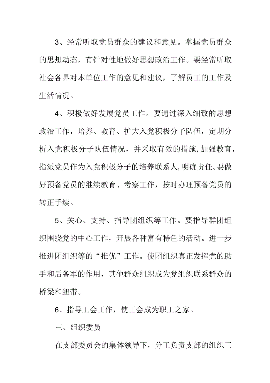 XX公司单位村20XX年党支部班子成员职责及分工.docx_第3页