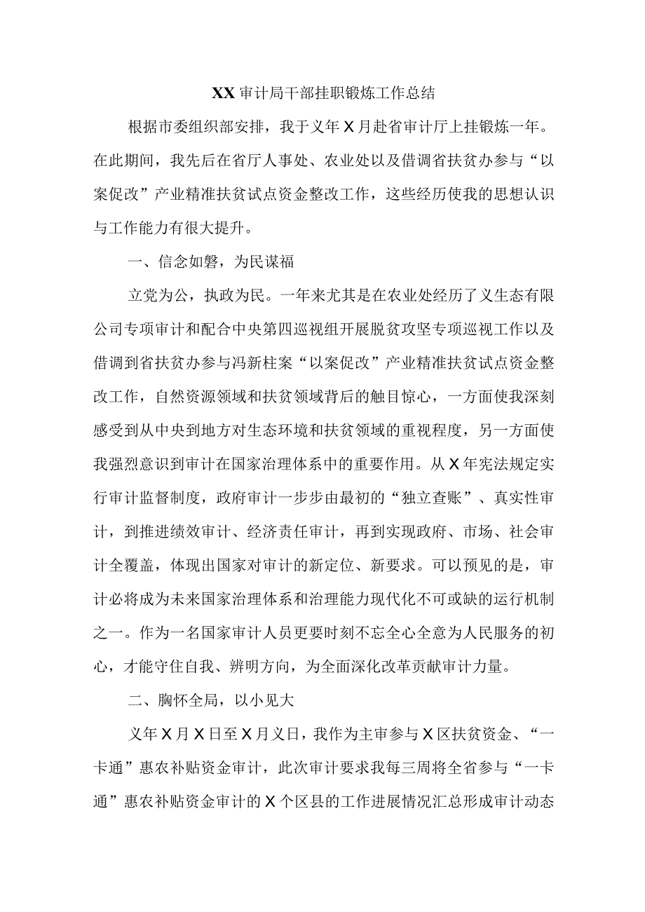 XX审计局干部挂职锻炼工作总结精选.docx_第1页