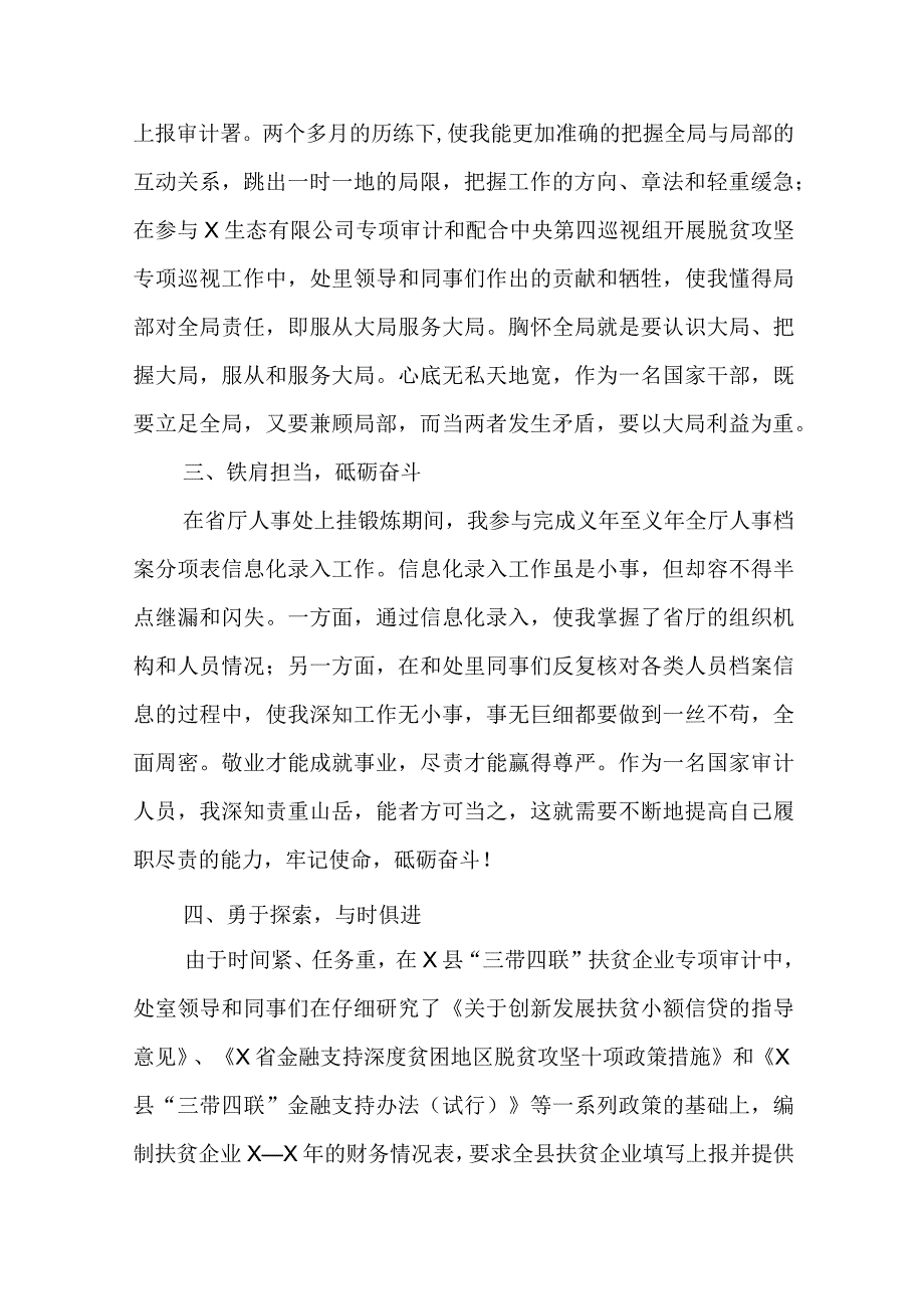 XX审计局干部挂职锻炼工作总结精选.docx_第2页