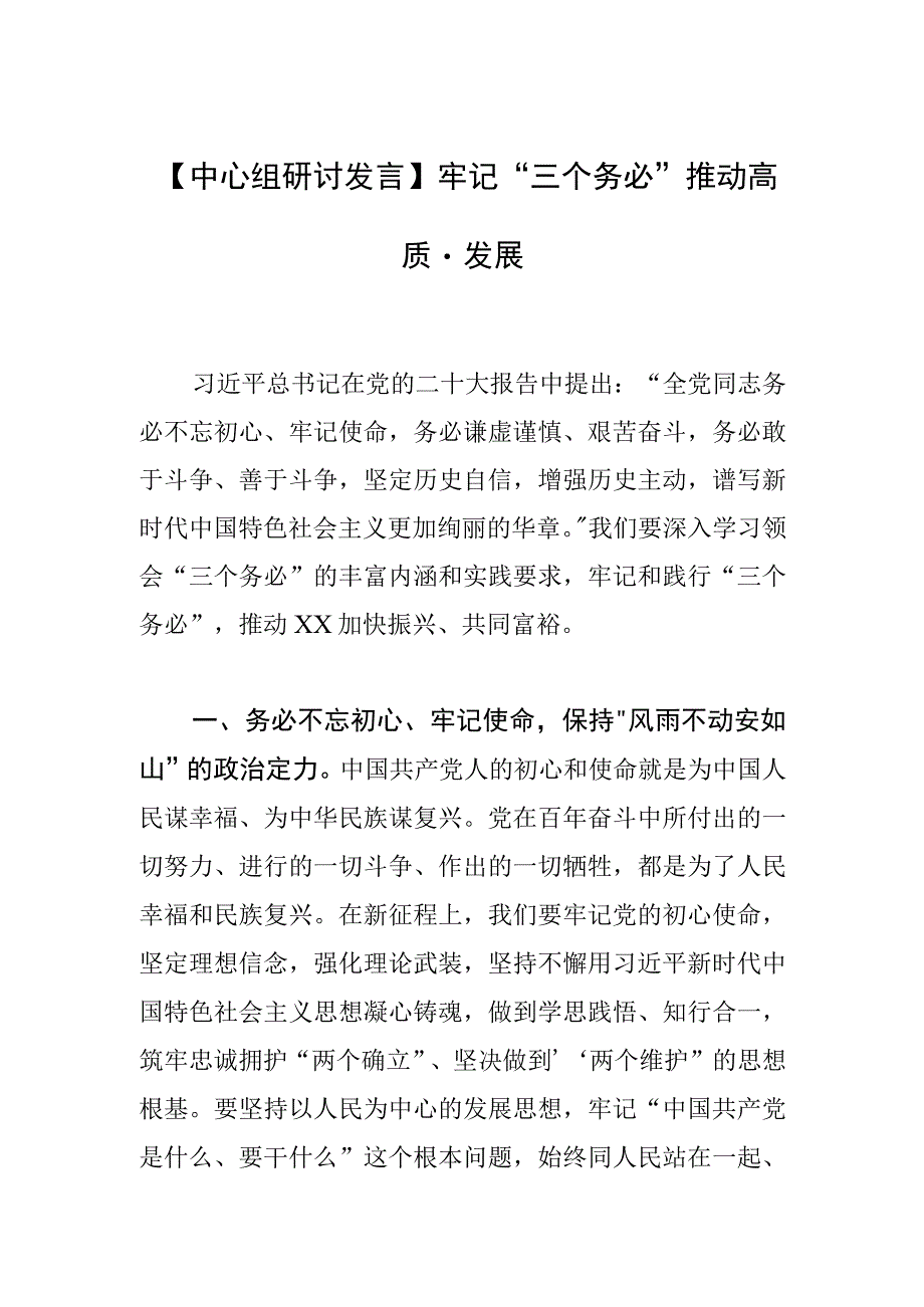 中心组研讨发言牢记三个务必推动高质量发展.docx_第1页