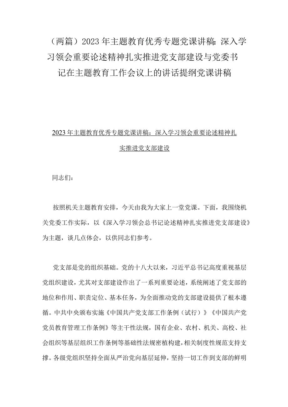 两篇2023年主题教育优秀专题党课讲稿：深入学习领会重要论述精神扎实推进党支部建设与党委书记在主题教育工作会议上的讲话提纲党课讲稿.docx_第1页