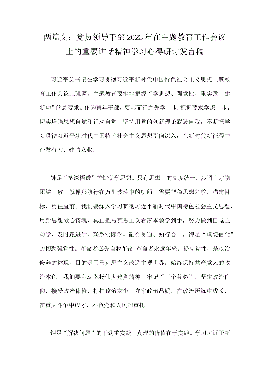 两篇文：党员领导干部2023年在主题教育工作会议上的重要讲话精神学习心得研讨发言稿.docx_第1页