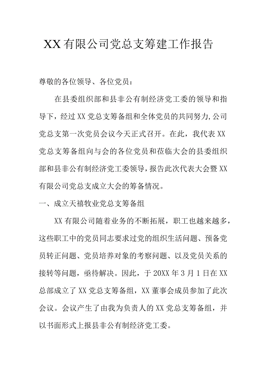 XX有限公司党总支筹建工作报告.docx_第1页