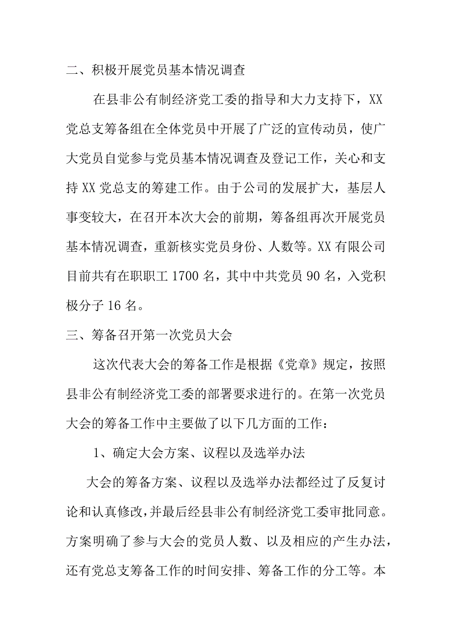 XX有限公司党总支筹建工作报告.docx_第2页