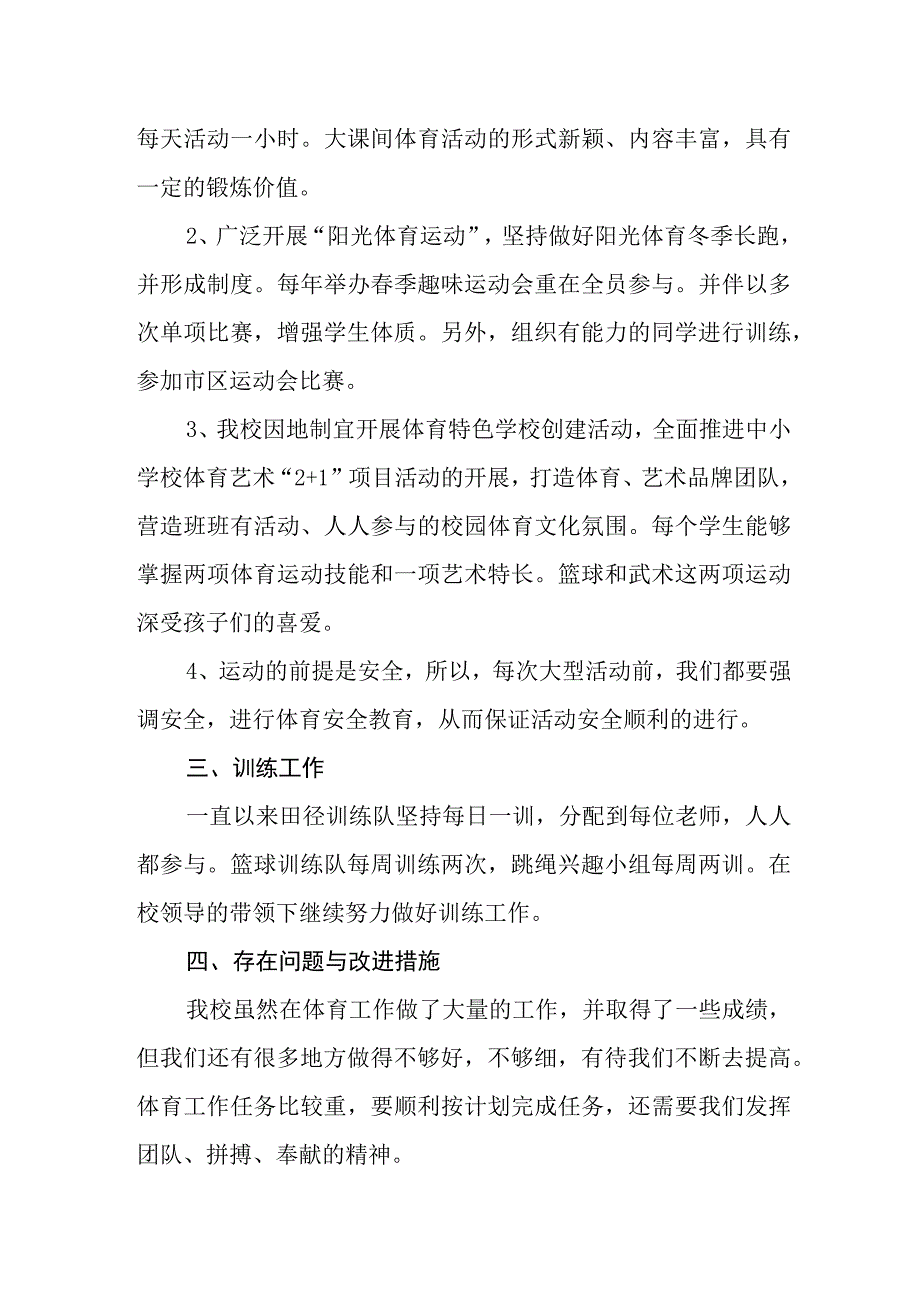 中心小学体育工作年度报告.docx_第2页