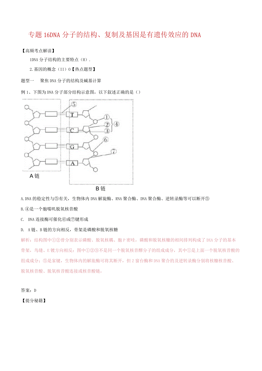 专题16DNA分子的结构、复制及基因是有遗传效应的DNA.docx_第1页