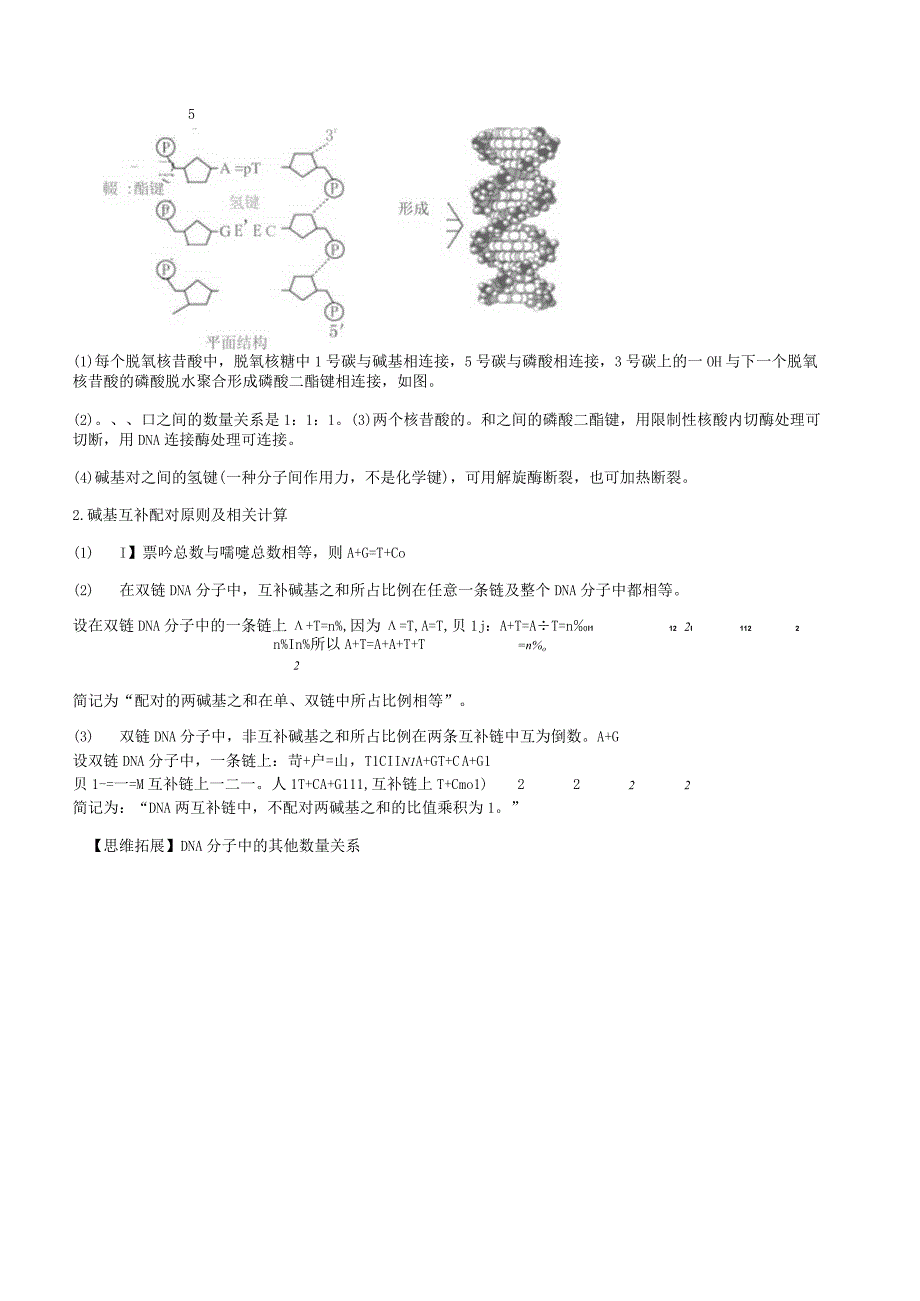 专题16DNA分子的结构、复制及基因是有遗传效应的DNA.docx_第2页