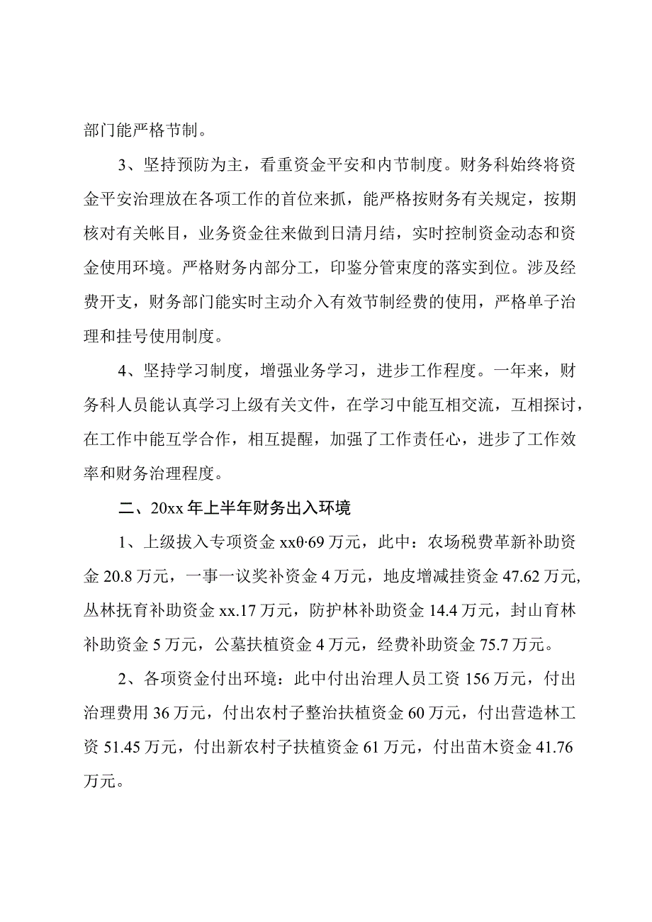 上半年财务人员工作总结参考范本.docx_第2页