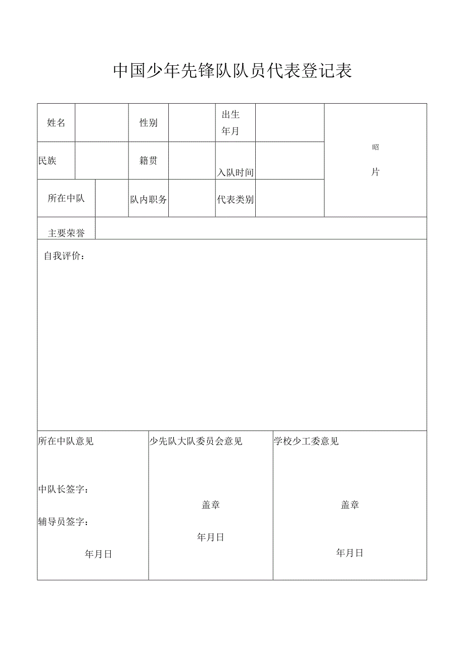 中国少年先锋队队员代表登记表.docx_第1页