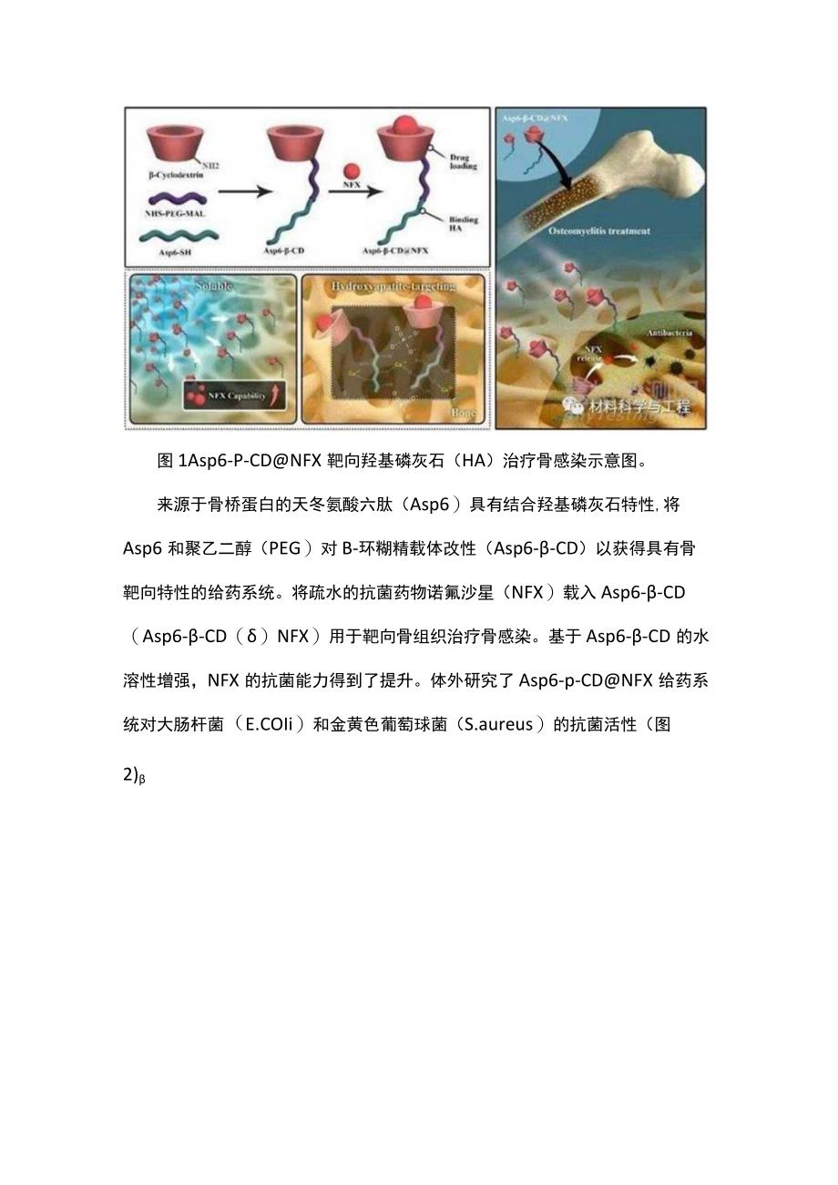 一种新型骨靶向给药系统有效解决骨感染的局部治疗问.docx_第2页