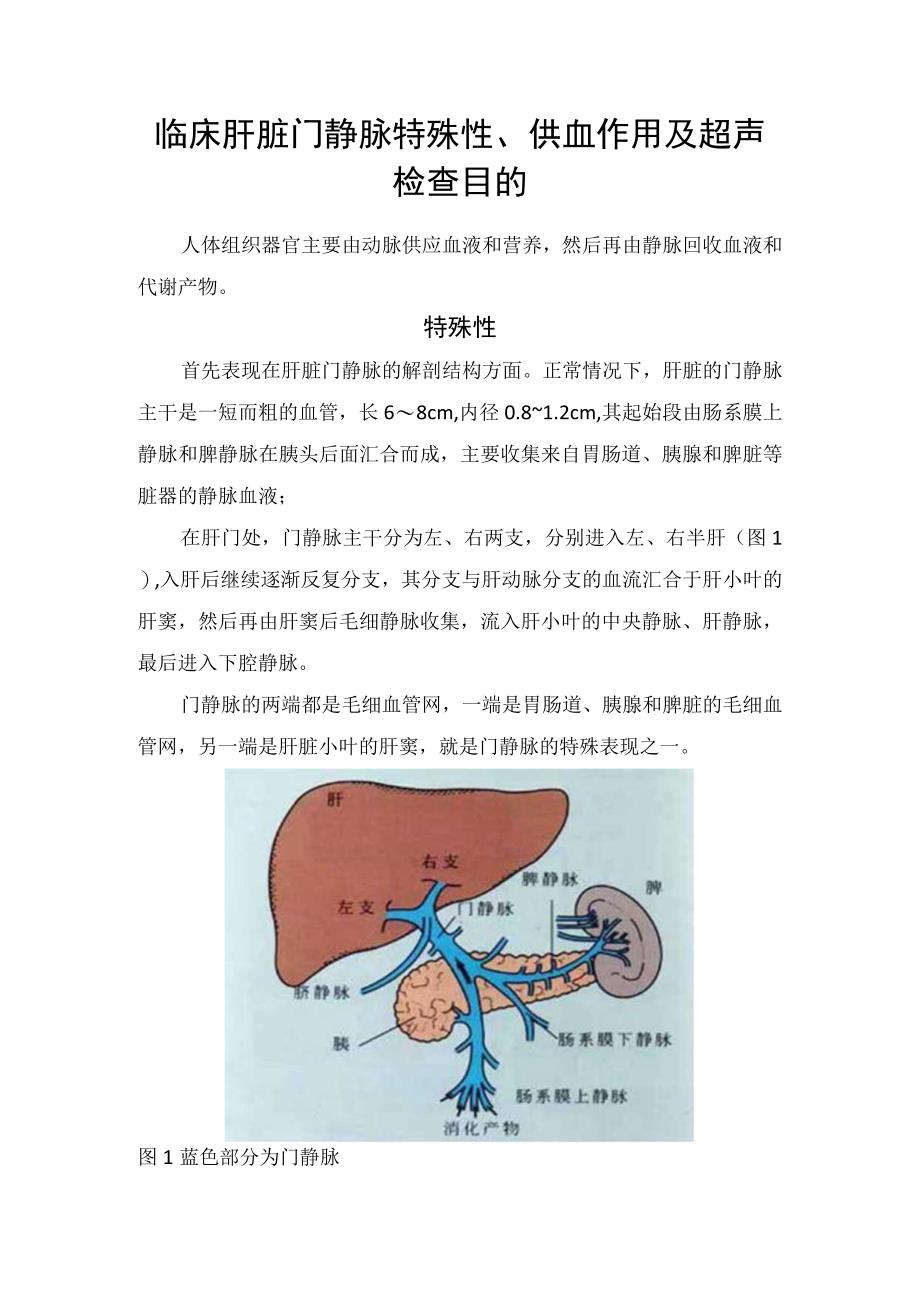 临床肝脏门静脉特殊性供血作用及超声检查目的.docx_第1页