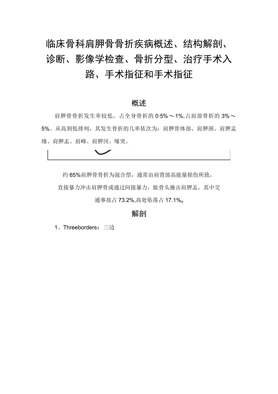 临床骨科肩胛骨骨折疾病概述结构解剖诊断影像学检查骨折分型治疗手术入路手术指征和手术指征.docx_第1页