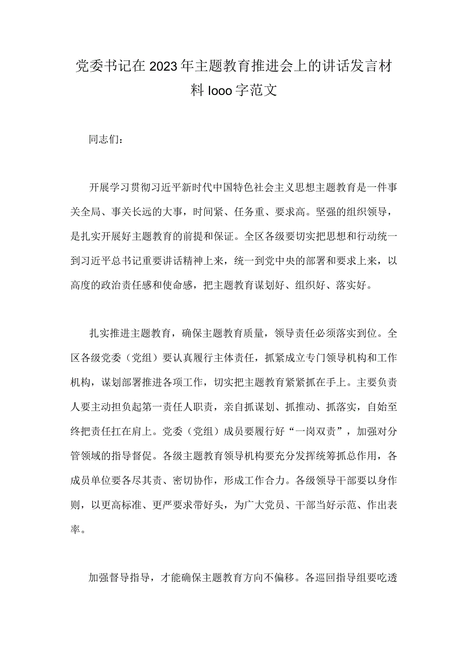 党委书记在2023年主题教育推进会上的讲话发言材料1000字范文.docx_第1页