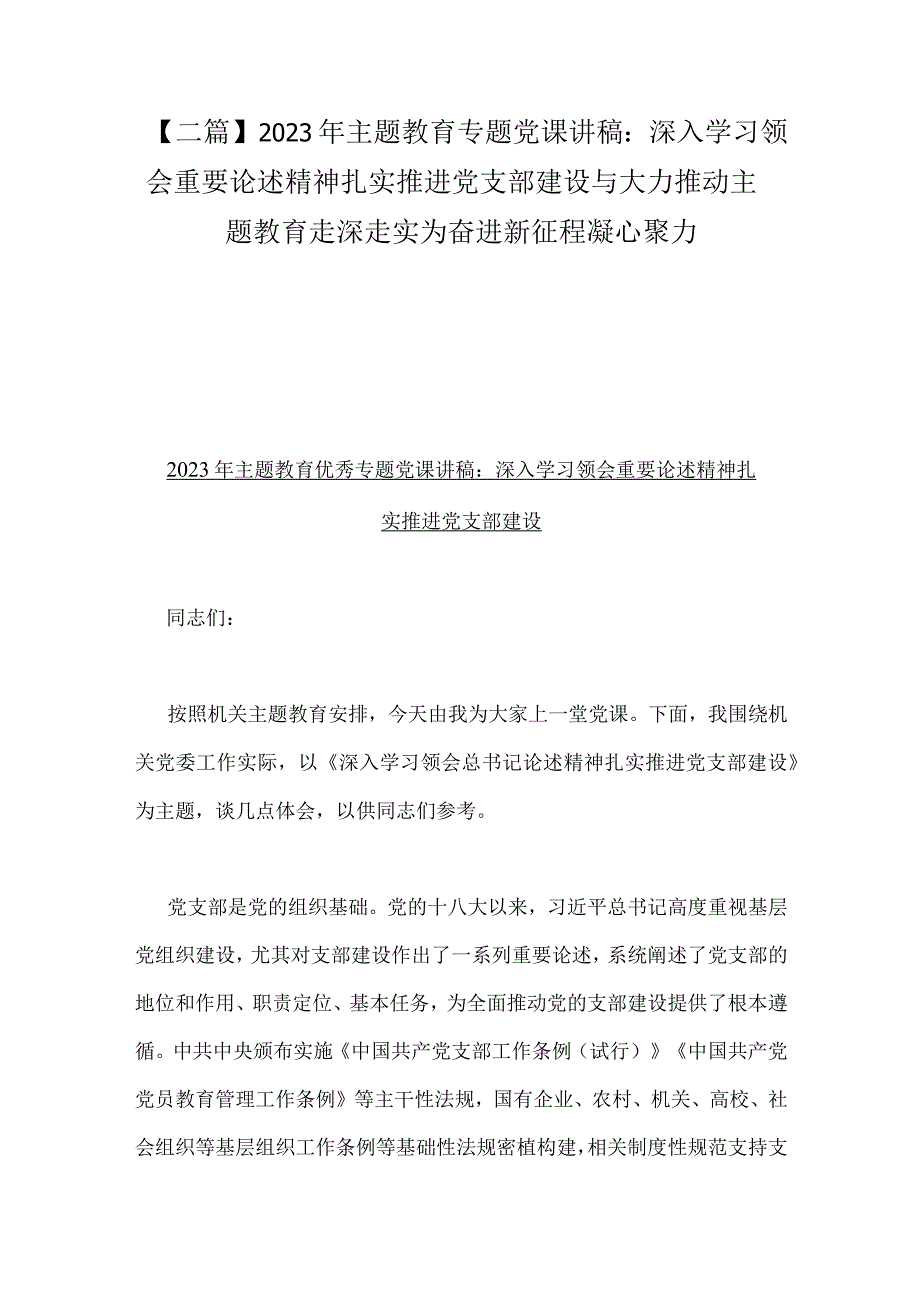 二篇2023年主题教育专题党课讲稿：深入学习领会重要论述精神扎实推进党支部建设与大力推动主题教育走深走实为奋进新征程凝心聚力.docx_第1页