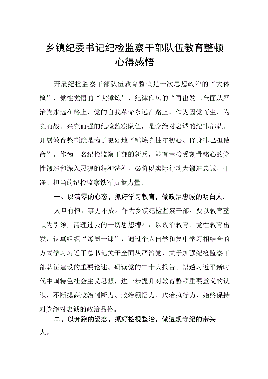 乡镇纪委书记纪检监察干部队伍教育整顿心得感悟汇编三篇.docx_第1页