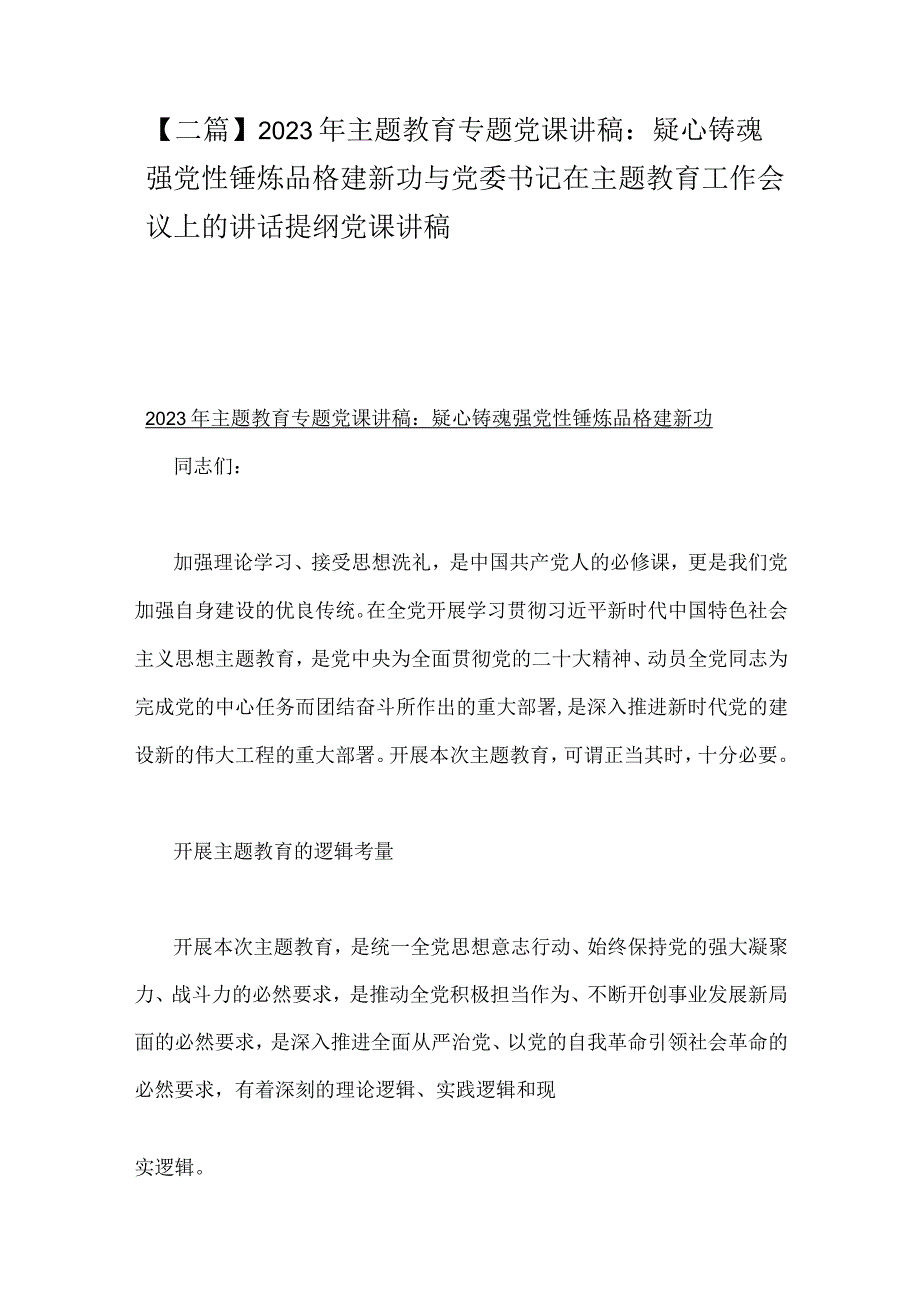 二篇2023年主题教育专题党课讲稿：疑心铸魂强党性锤炼品格建新功与党委书记在主题教育工作会议上的讲话提纲党课讲稿.docx_第1页