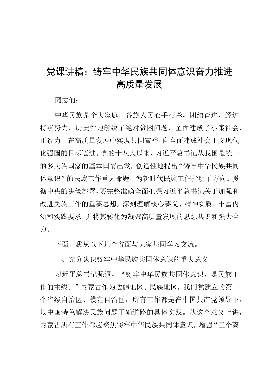 党课：铸牢中华民族共同体意识 奋力推进高质量发展.docx_第1页