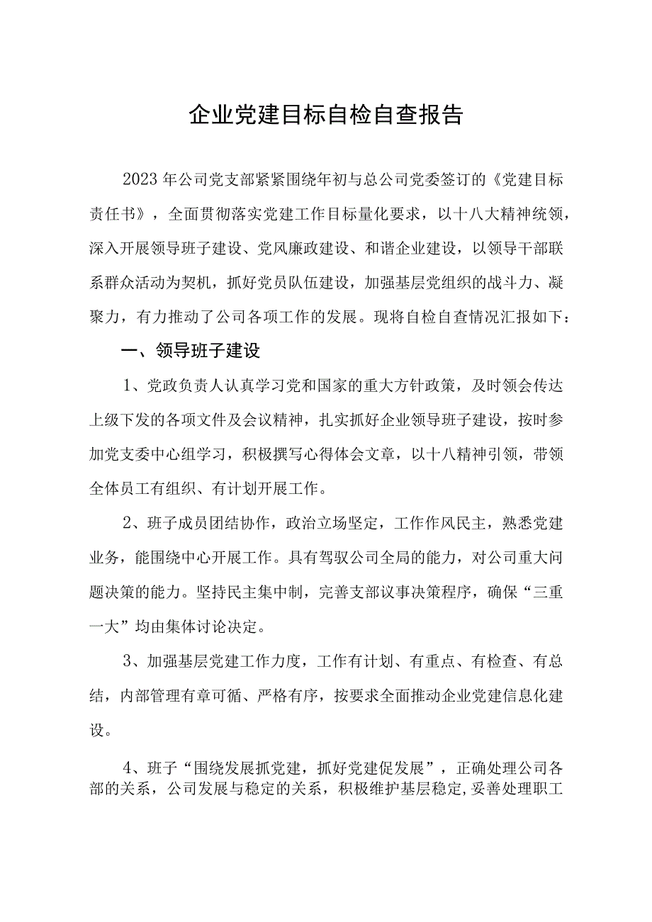 企业党建目标考核自检自查报告.docx_第1页