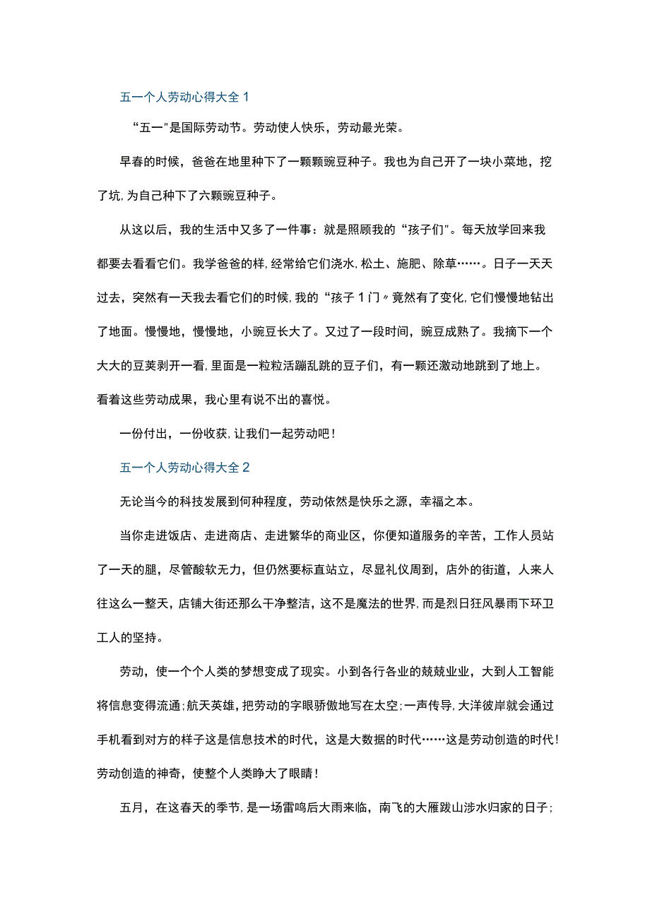 五一个人劳动心得大全10篇.docx_第1页