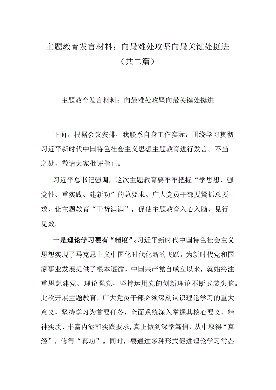 主题教育发言材料：向最难处攻坚 向最关键处挺进(共二篇).docx_第1页