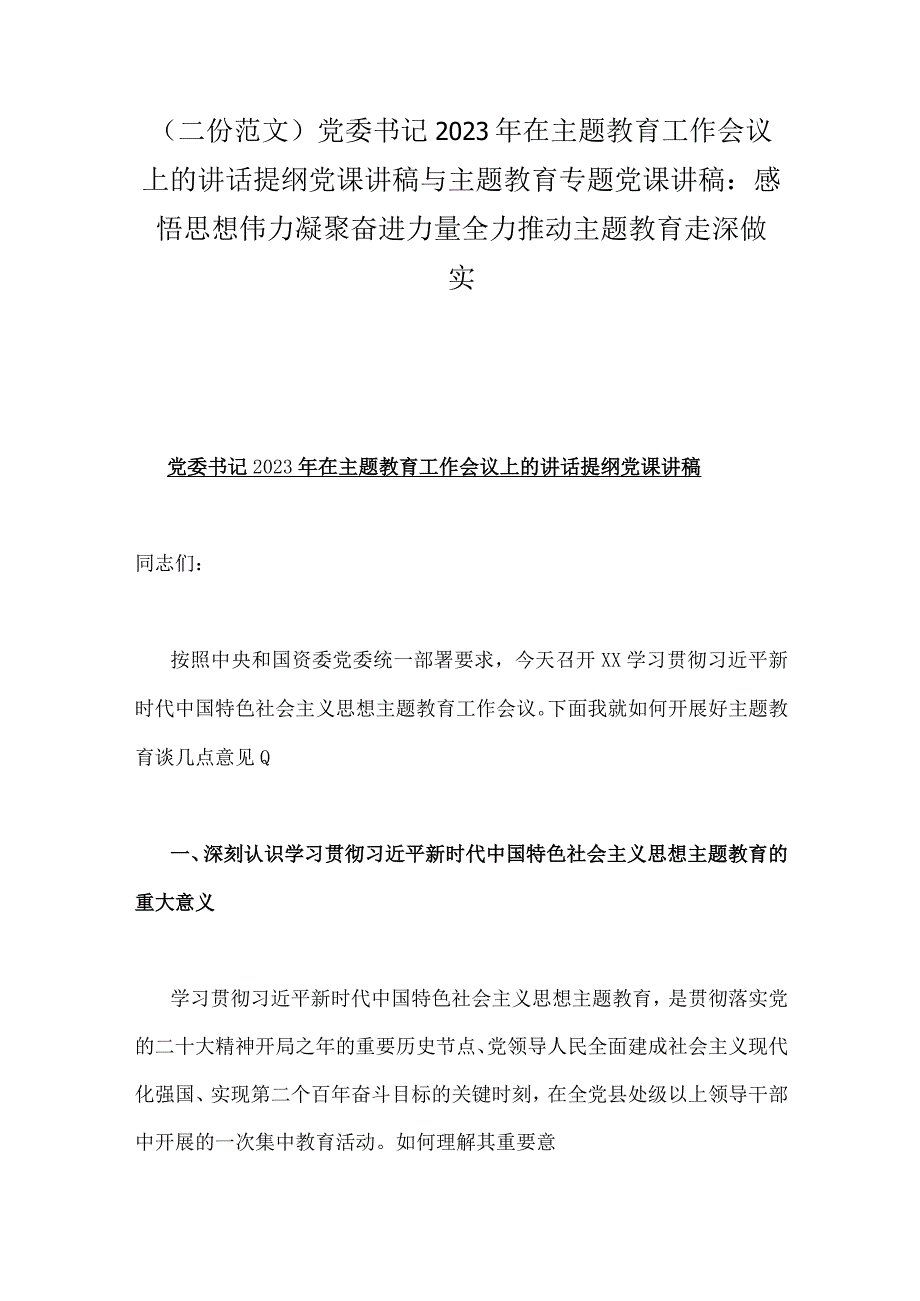 二份范文党委书记2023年在主题教育工作会议上的讲话提纲党课讲稿与主题教育专题党课讲稿：感悟思想伟力凝聚奋进力量全力推动主题教育走深做实.docx_第1页