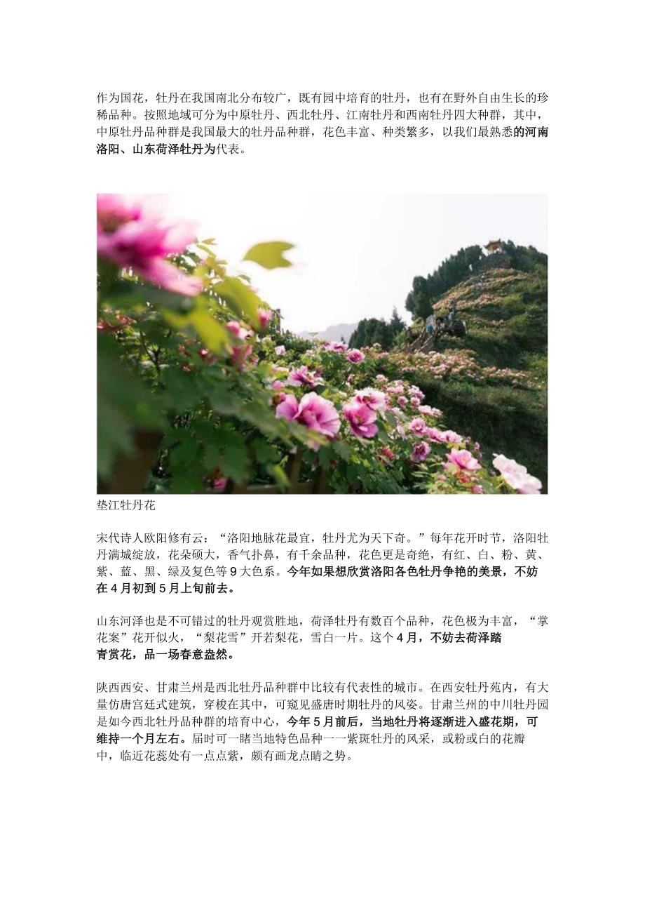 全国牡丹观赏地图公开课教案教学设计课件资料.docx_第3页