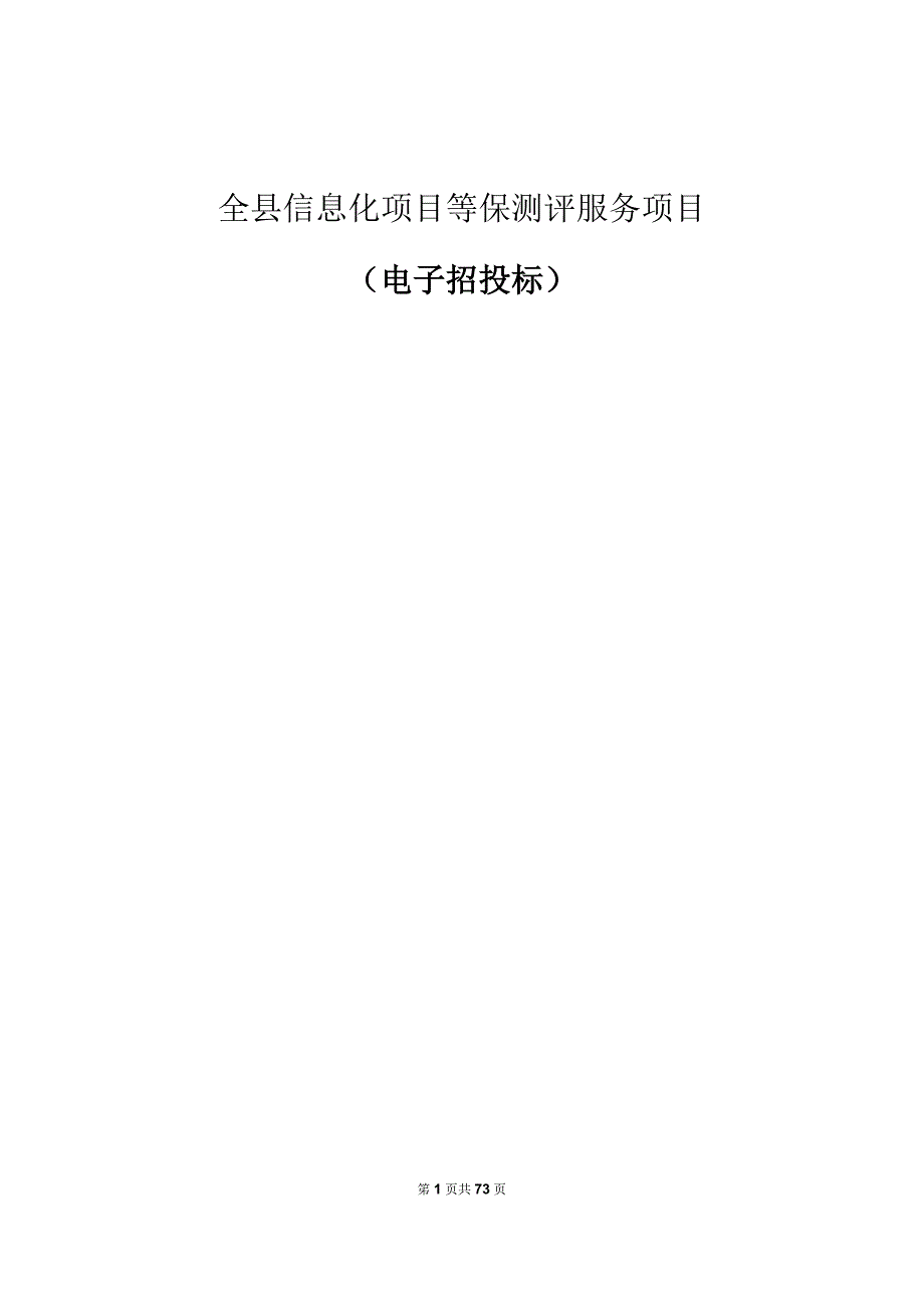 全县信息化项目等保测评服务项目招标文件.docx_第1页