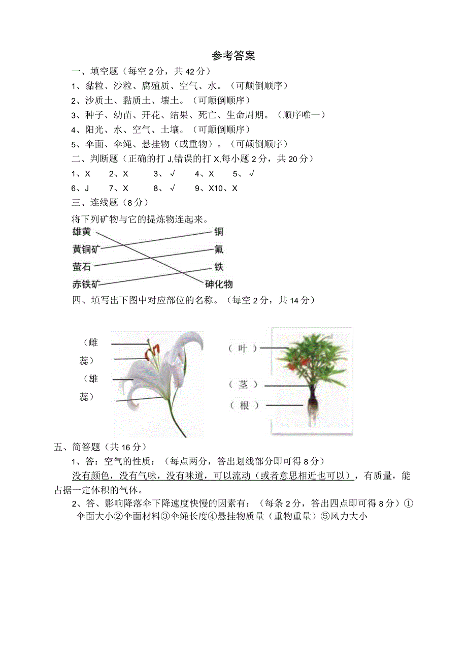 人教版三年级科学下册期中质量检测试卷（含答案）.docx_第3页