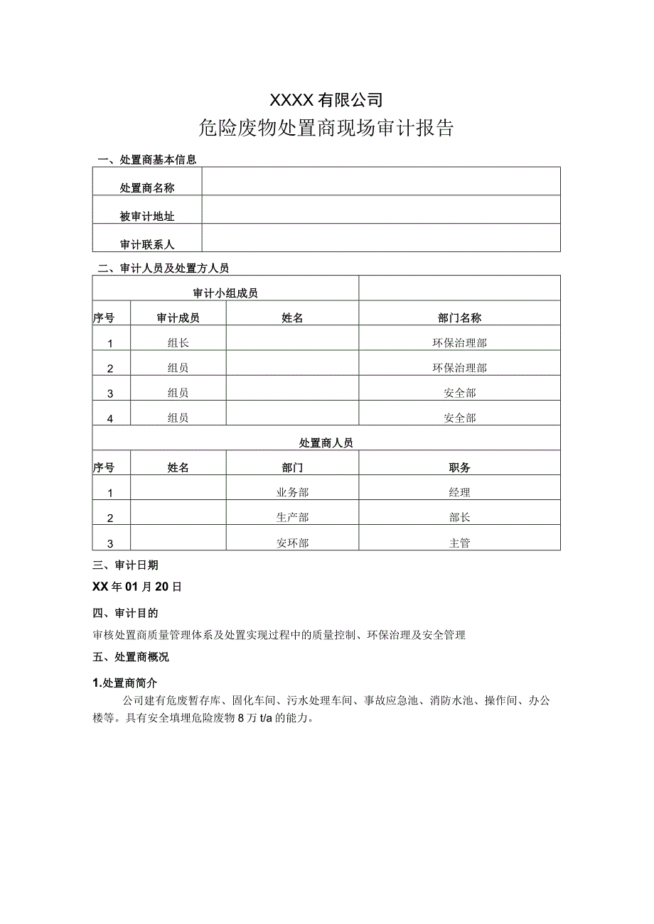 供应商审计报告.docx_第1页