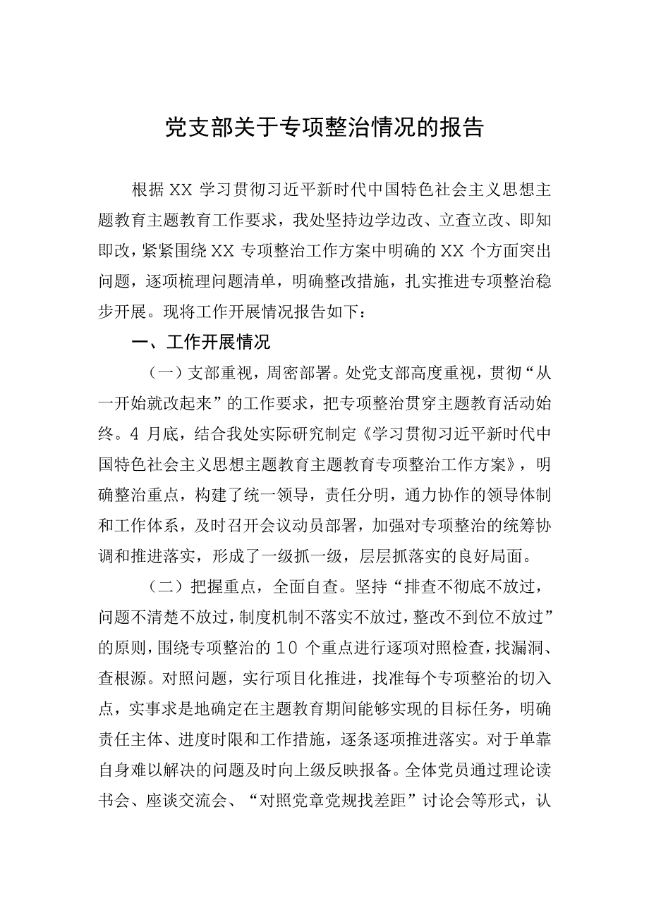 党支部关于专项整治情况的报告.docx_第1页