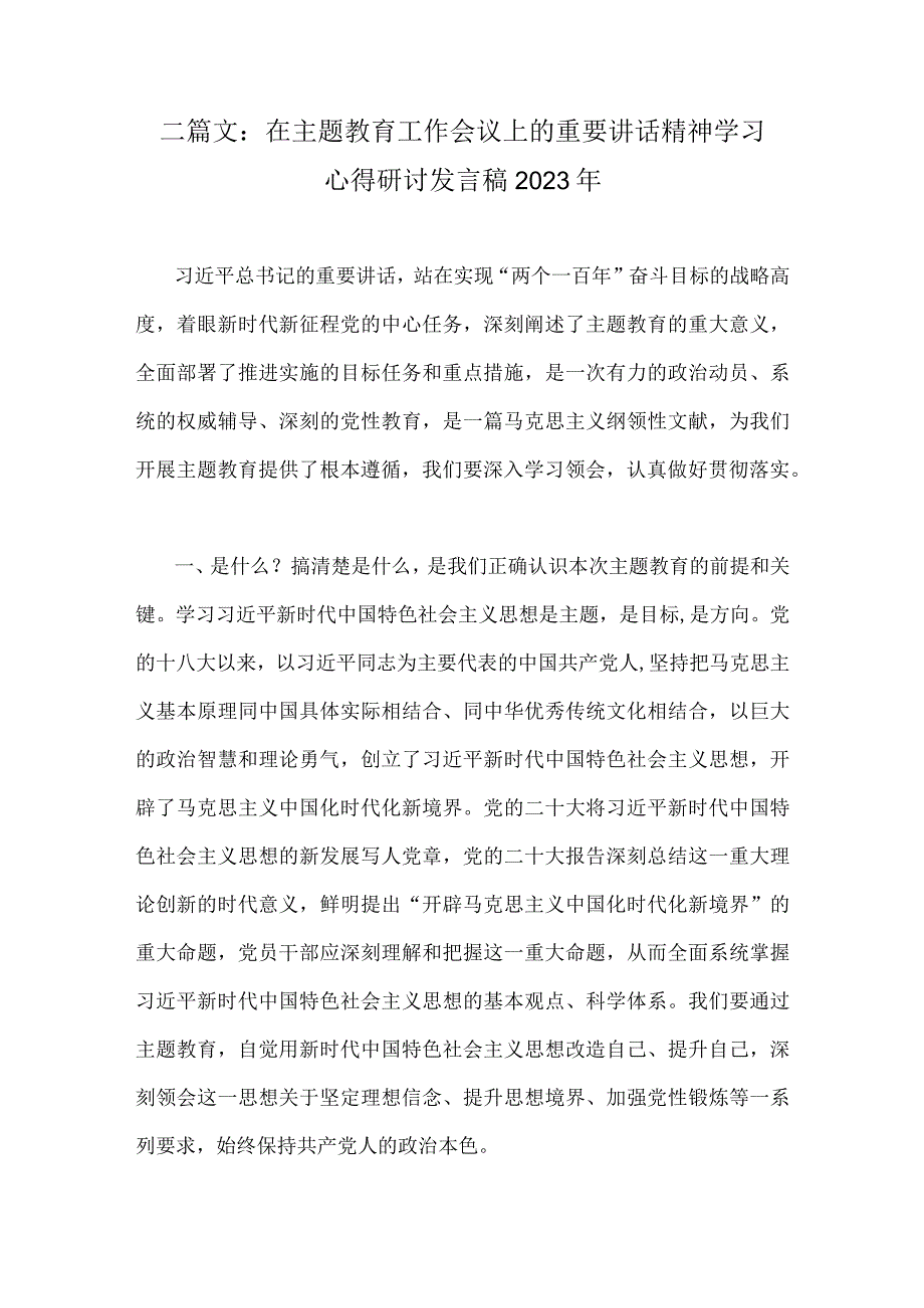 二篇文：在主题教育工作会议上的重要讲话精神学习心得研讨发言稿2023年.docx_第1页