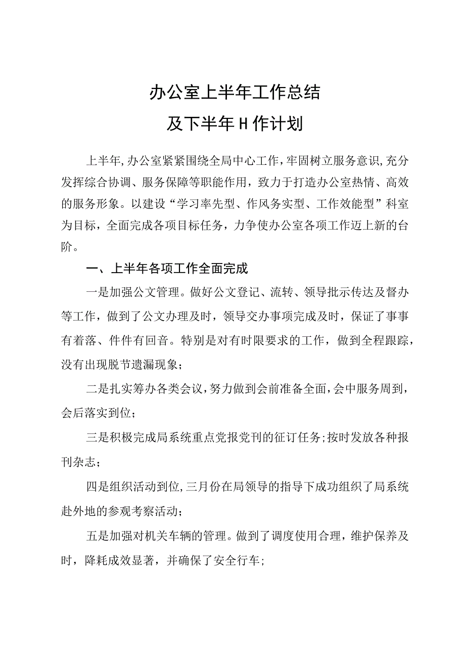 办公室上半年工作总结及下半年工作计划.docx_第1页