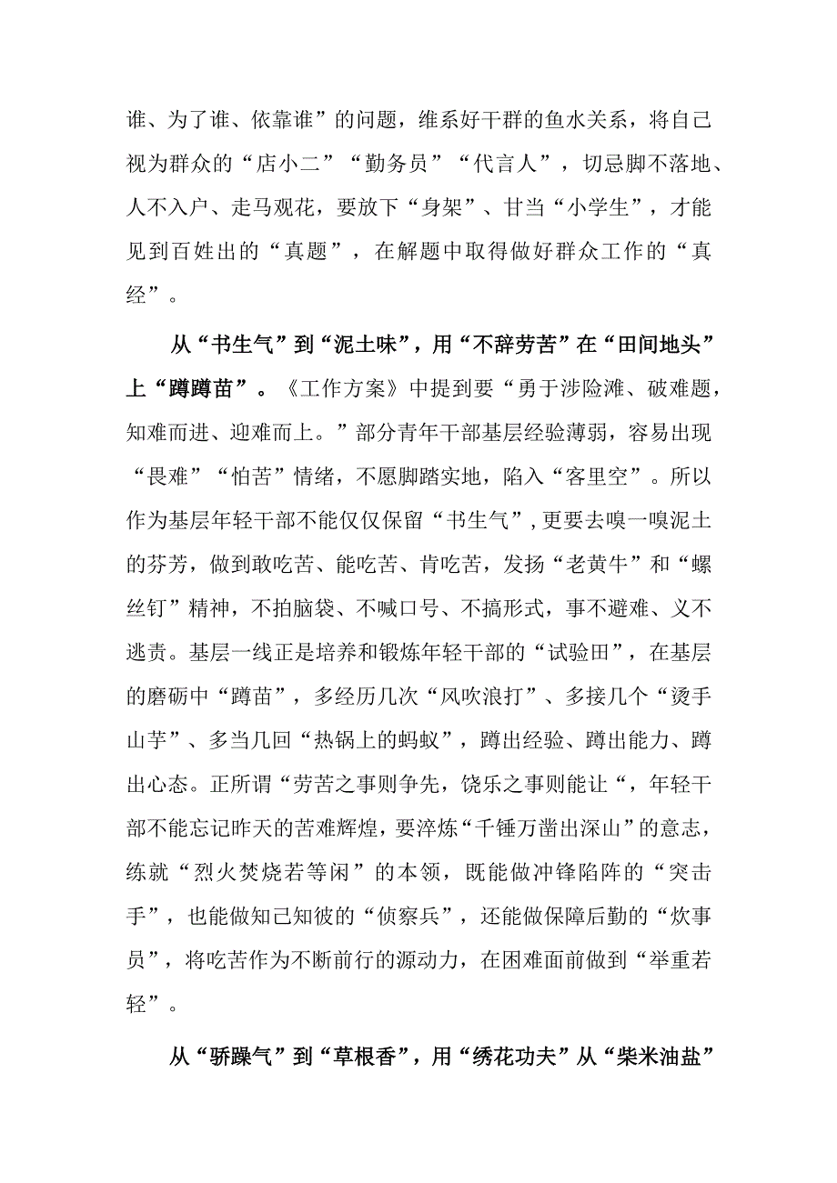 共5篇年轻干部2023学习贯彻关于在全党大兴调查研究的工作方案心得感想材料.docx_第2页