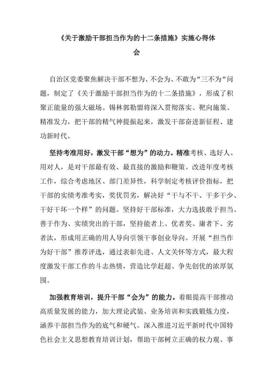 关于激励干部担当作为的十二条措施实施心得体会.docx_第1页