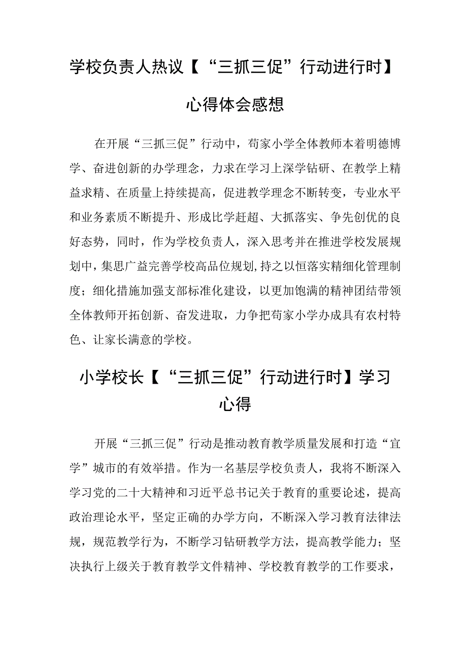 共三篇青年教师三抓三促行动进行时心得体会.docx_第2页