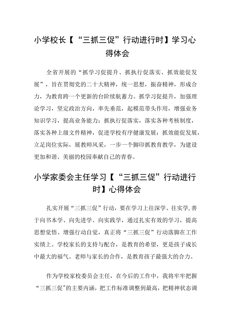 共三篇小学校长三抓三促行动进行时学习心得体会.docx_第1页